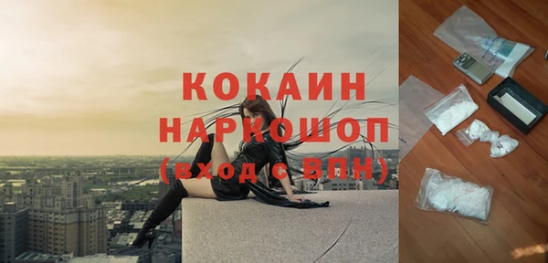 apvp Алзамай