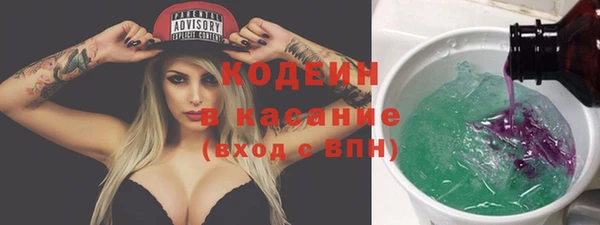 apvp Алзамай