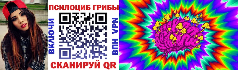 даркнет клад Ставрополь Галлюциногенные грибы Magic Shrooms